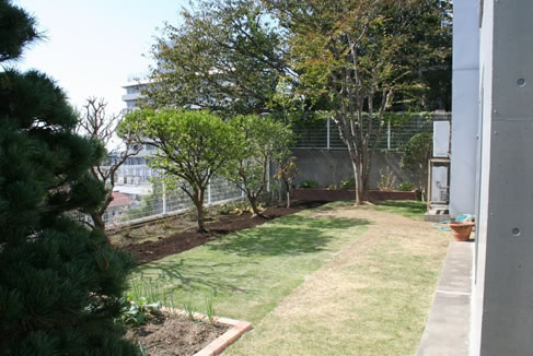 庭仕事風雅 庭木の移植と剪定、庭の芝張り、菜園コーナー作り例