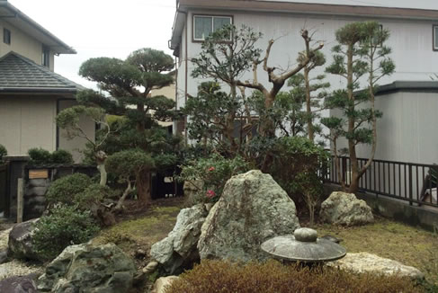 庭木の中でも元気なものはしっかりと、少し元気のない木は控えめに。バランスを考慮した剪定