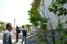 庭仕事風雅 日本モダン家屋に合わせたすっくと伸びる庭木植栽