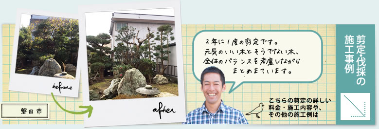 庭仕事風雅の庭木の剪定
