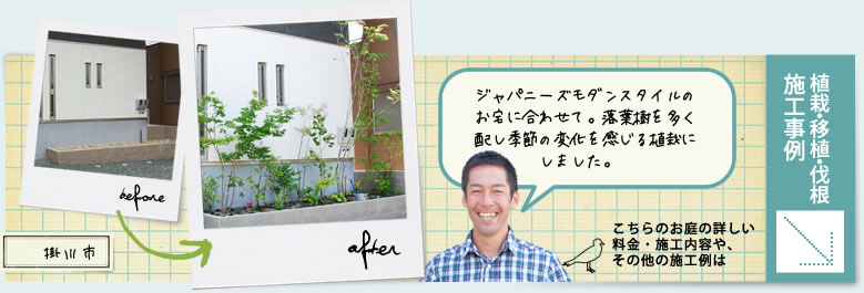 庭仕事風雅の庭の植栽・移植・伐根・生垣作成