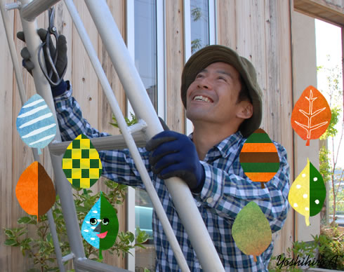 aa